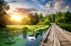 پوستر دیواری سه بعدی کد 981